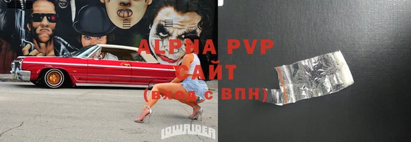 индика Алексин