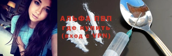индика Алексин