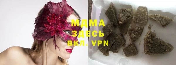 индика Алексин