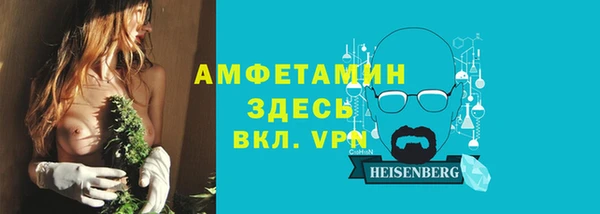 индика Алексин