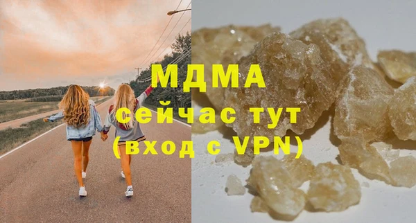 индика Алексин