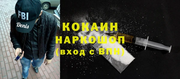 индика Алексин