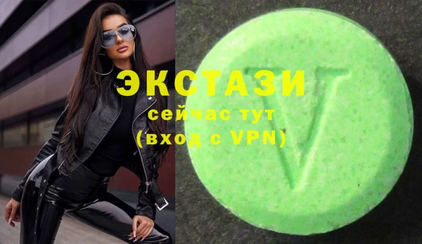 индика Алексин
