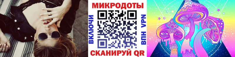 Псилоцибиновые грибы Psilocybe  наркотики  Арамиль 