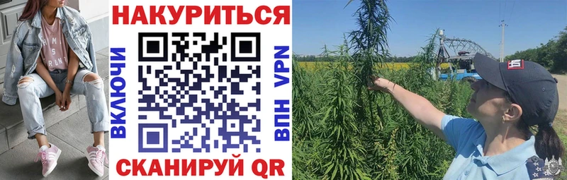 Шишки марихуана SATIVA & INDICA  Арамиль 